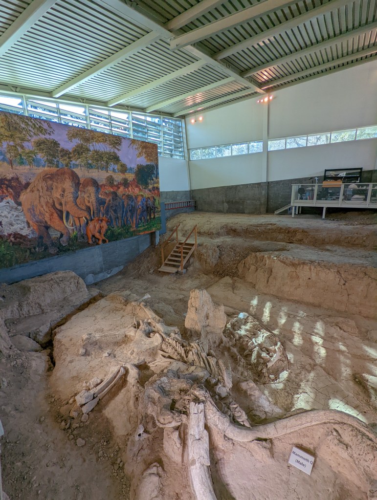 national mammoth monument waco texas
