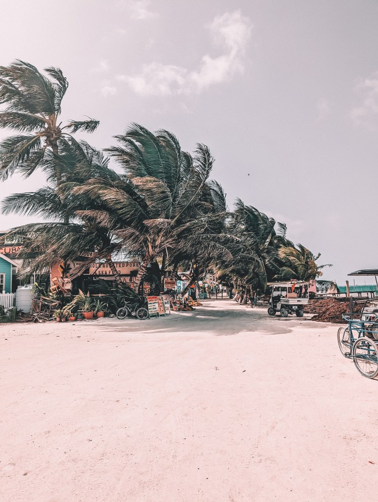 village caye caulker belize