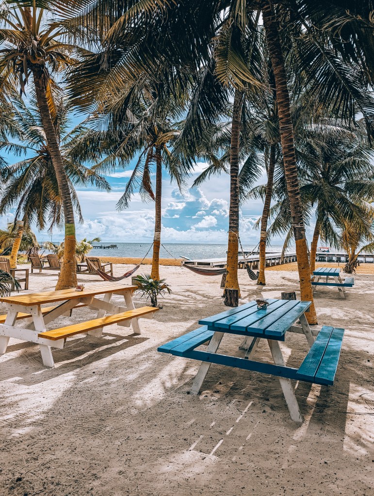 ice n beans caye caulker belize