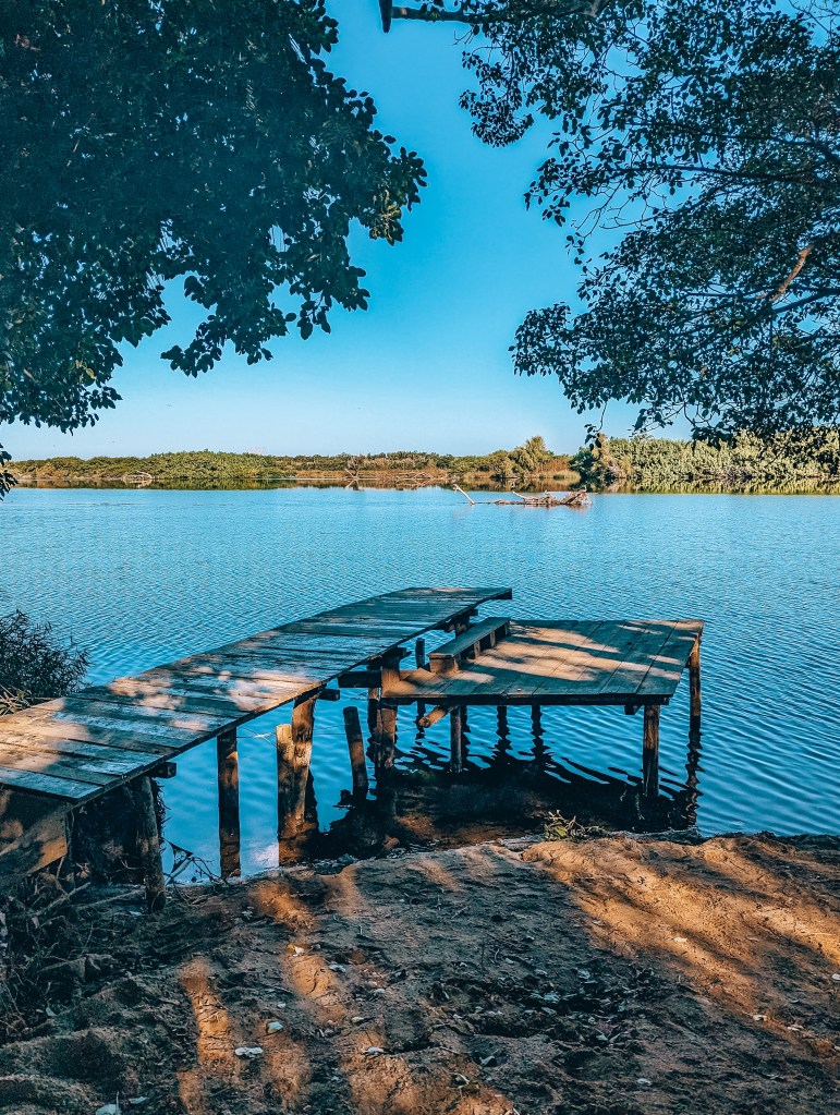 dock las alamandas mexico
