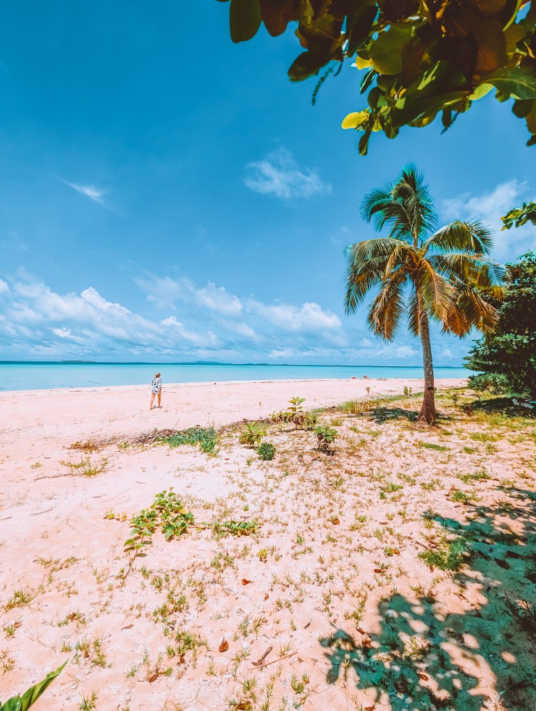 Beach tivua island Captain cook