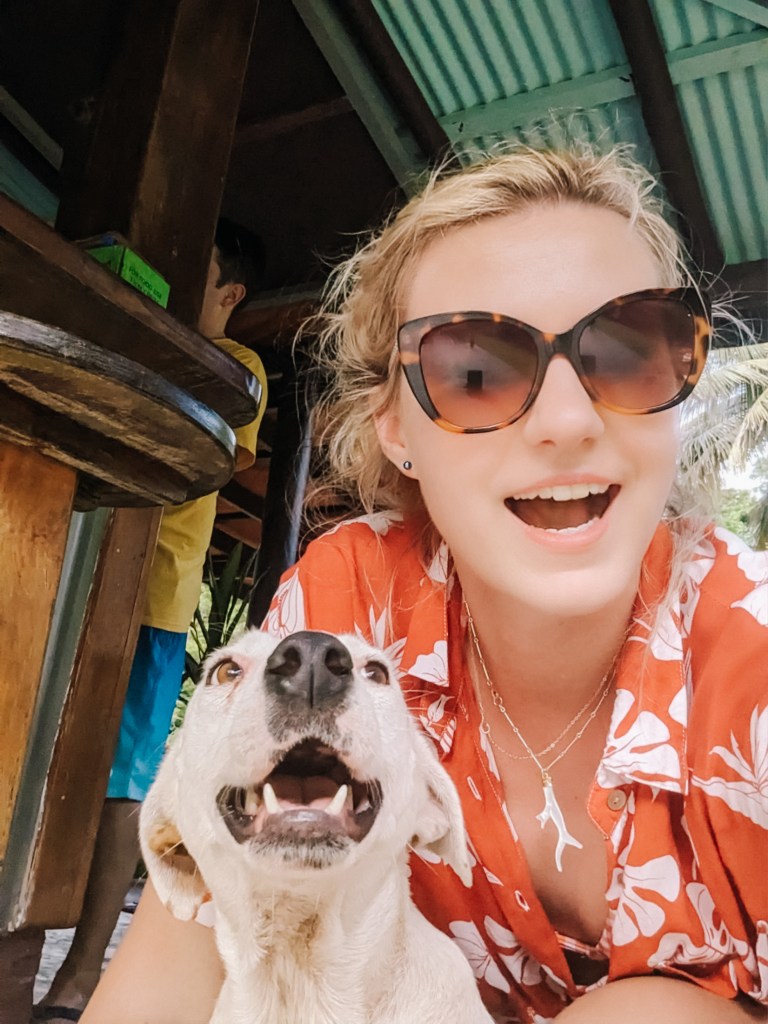 pup dog salt lake lodge savusavu fiji