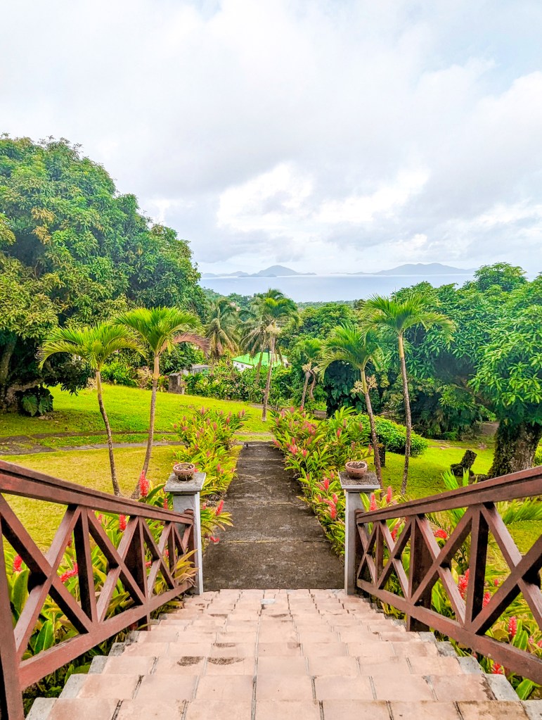 le jardin malanga guadeloupe