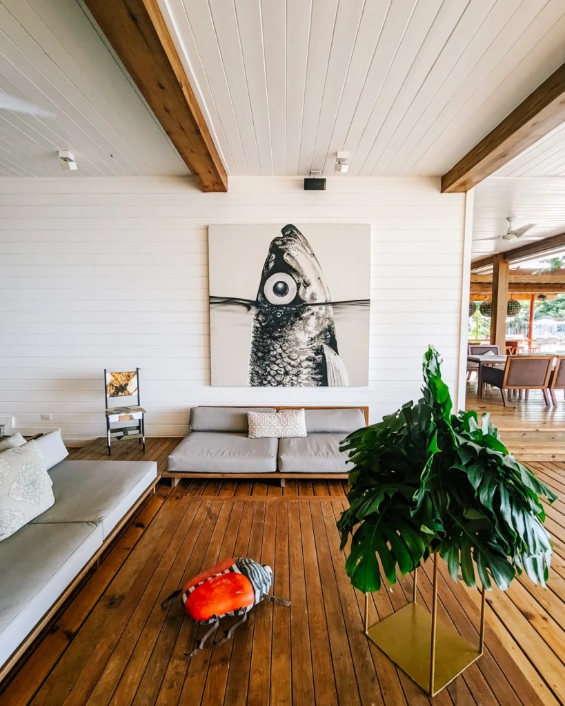 Reception ibagari roatan