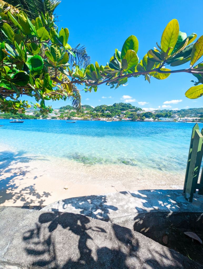 young island resort st vincent