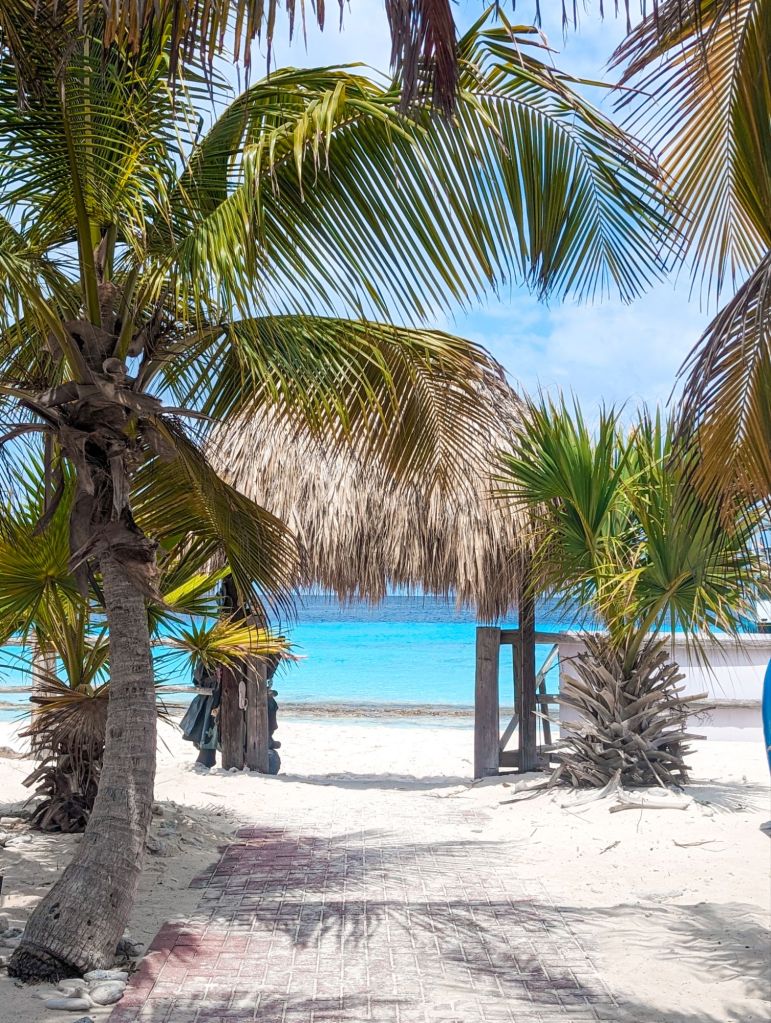 klein curacao mermaid boat tours