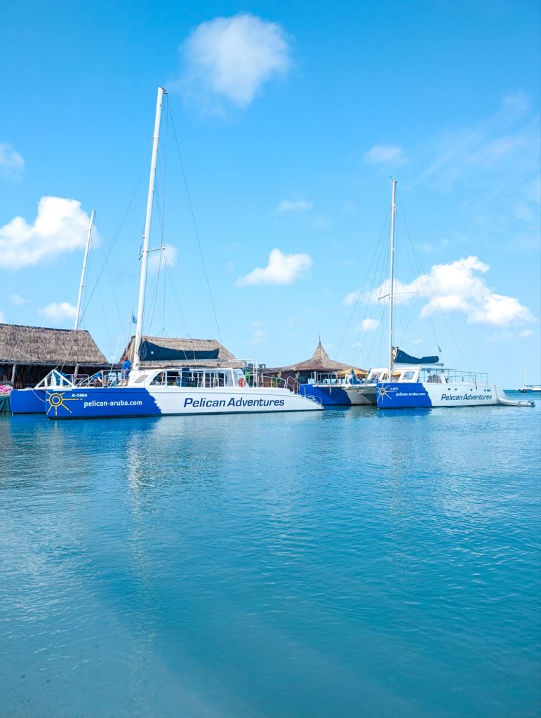 pelican adventures catamaran