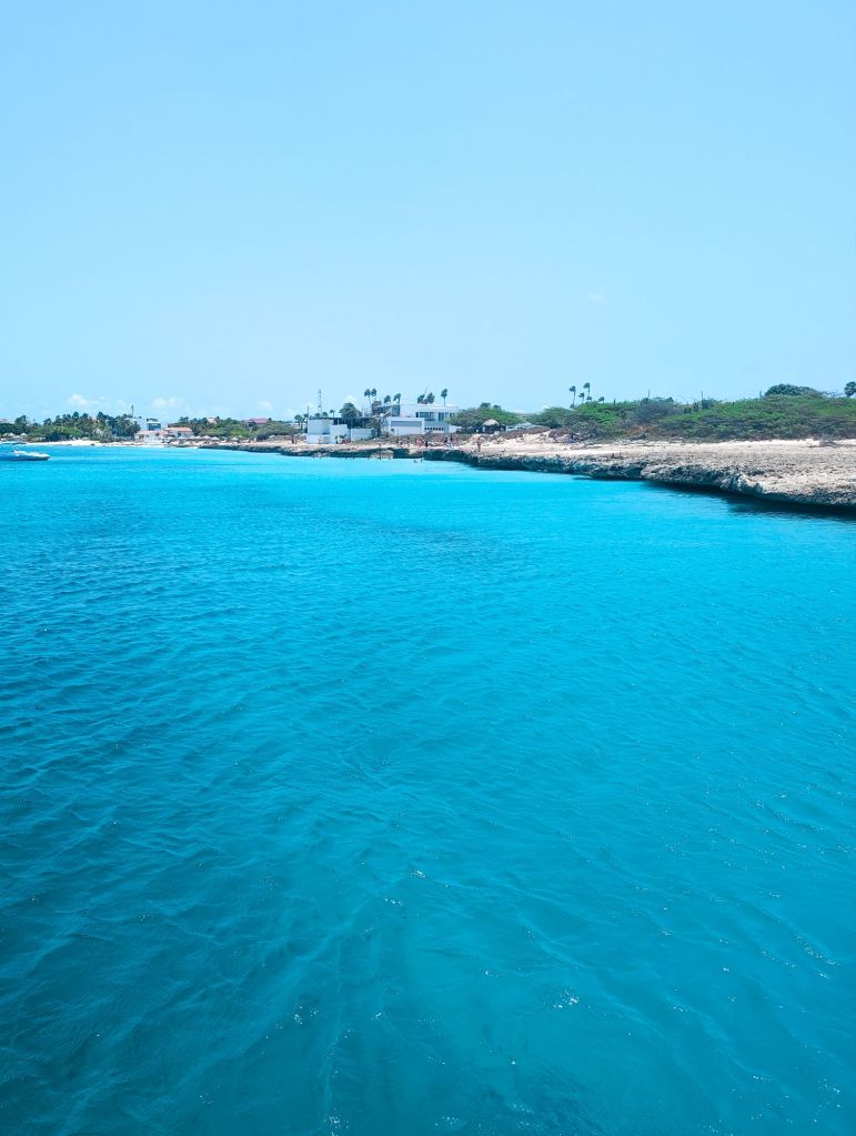 pelican adventures catamaran