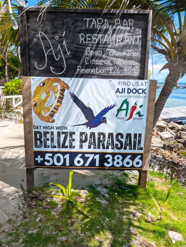 parasailing san pedro belize