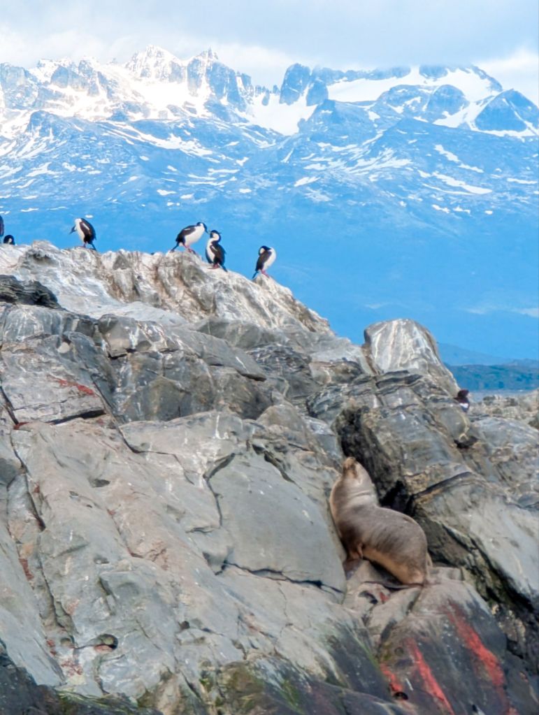 ushuaia argentina patagonia