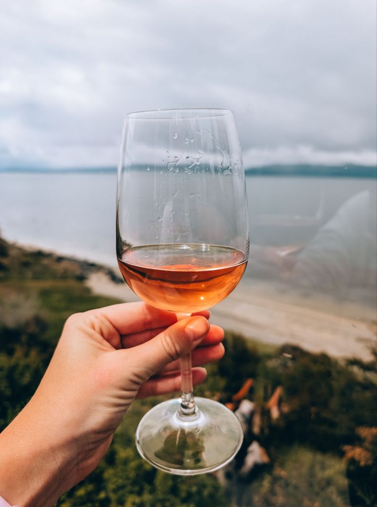 los cauquenes hotel ushuaia argentina patagonia