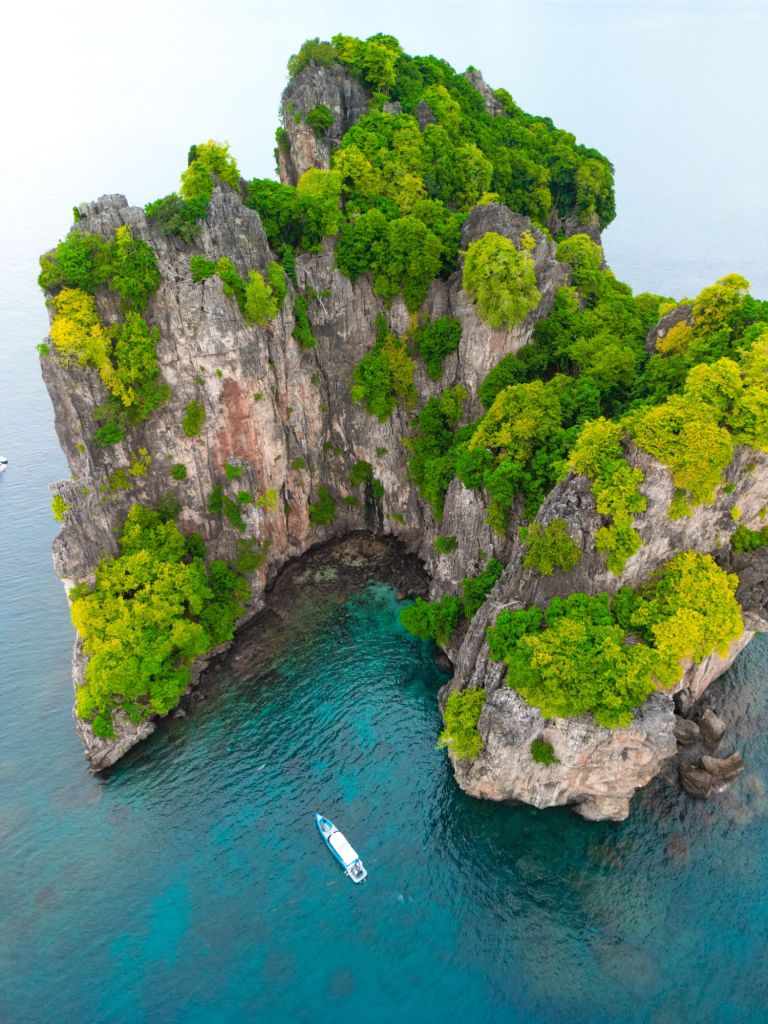 Simba seat trips phi phi islands snorkelling