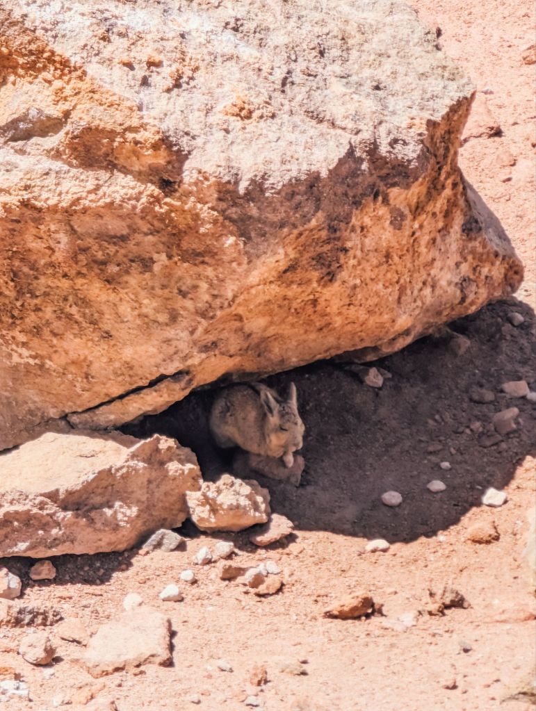 salt flats route chile atacama