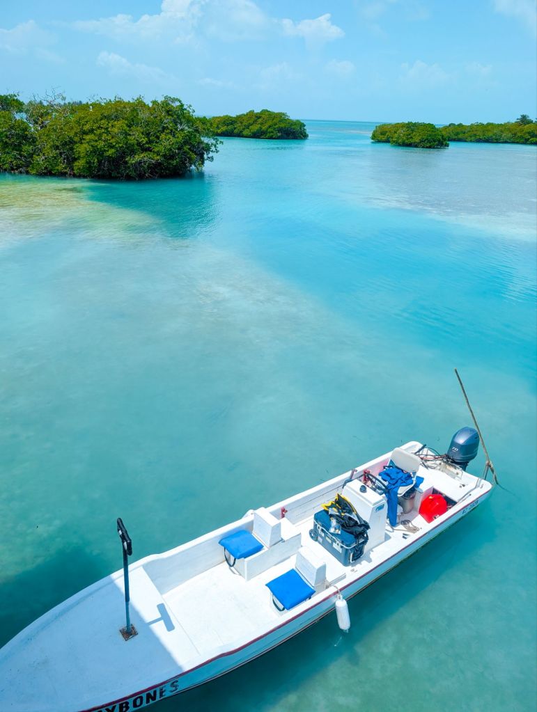 tarpon sands Lodge Belize private island