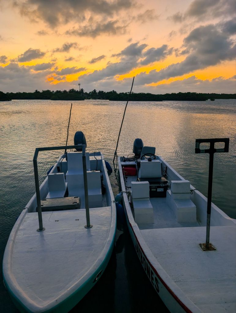 tarpon sands Lodge Belize private island