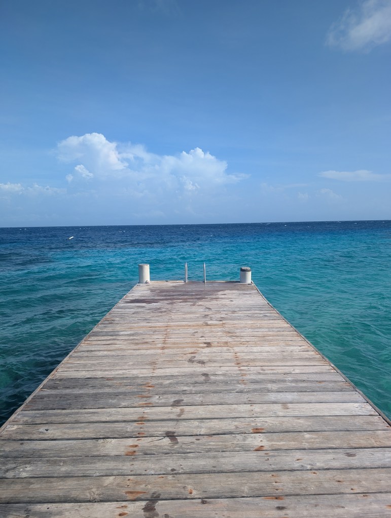  travel guide to utila neptunes