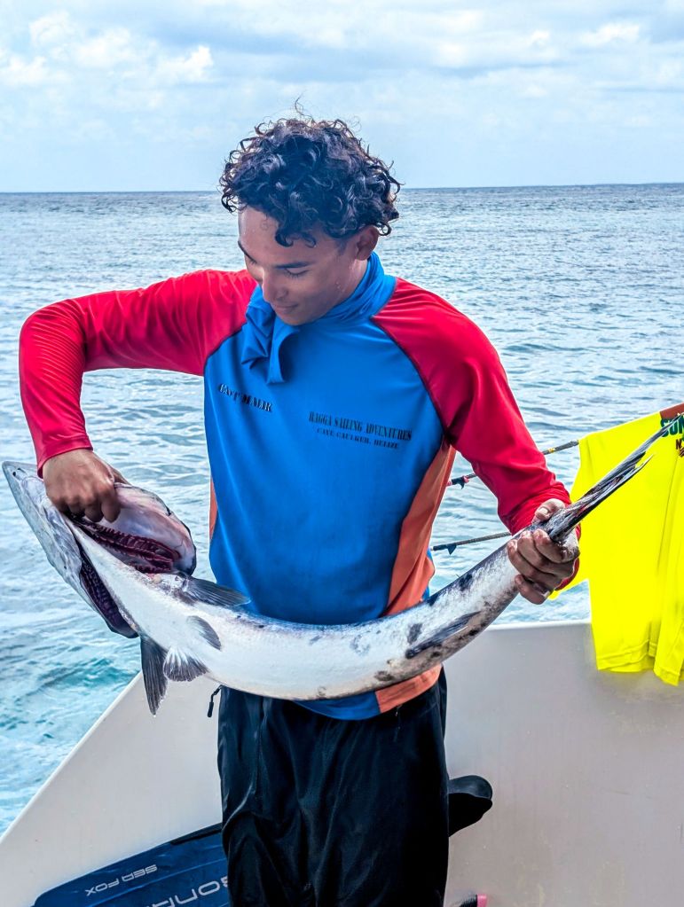 ragga sailing adventures belize