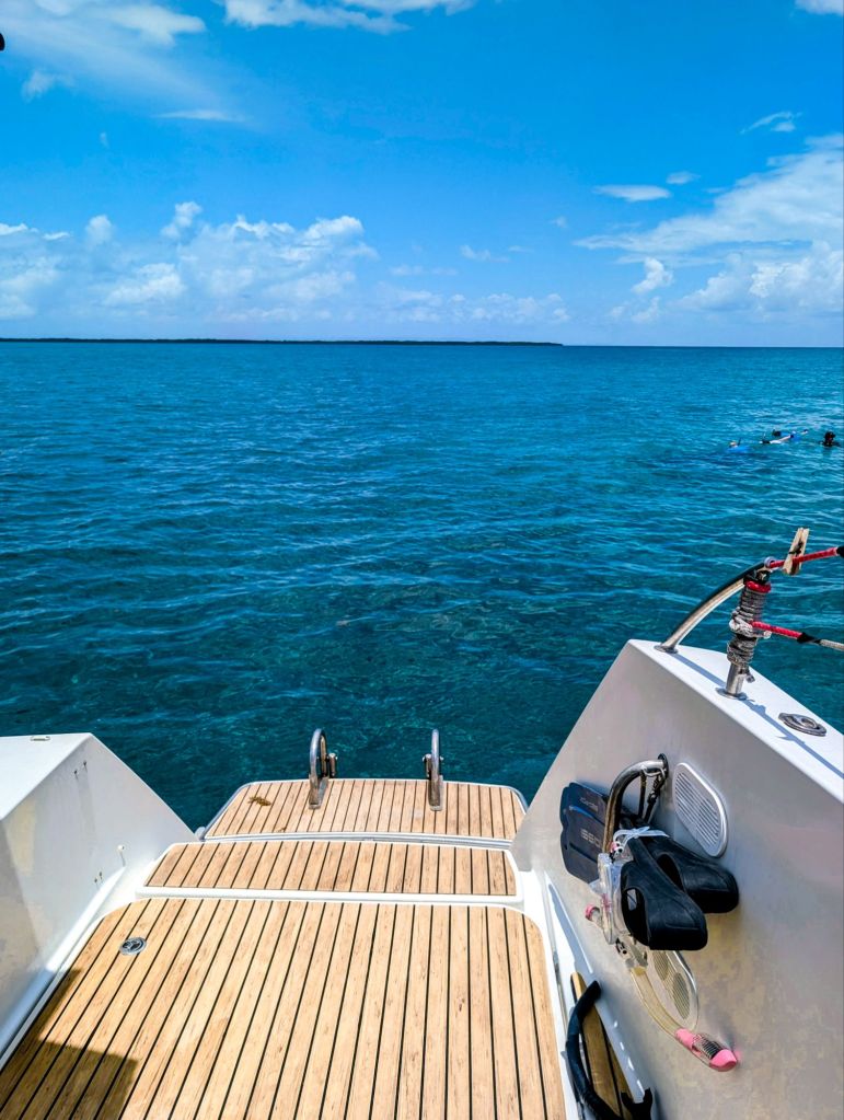 ragga sailing adventures belize 