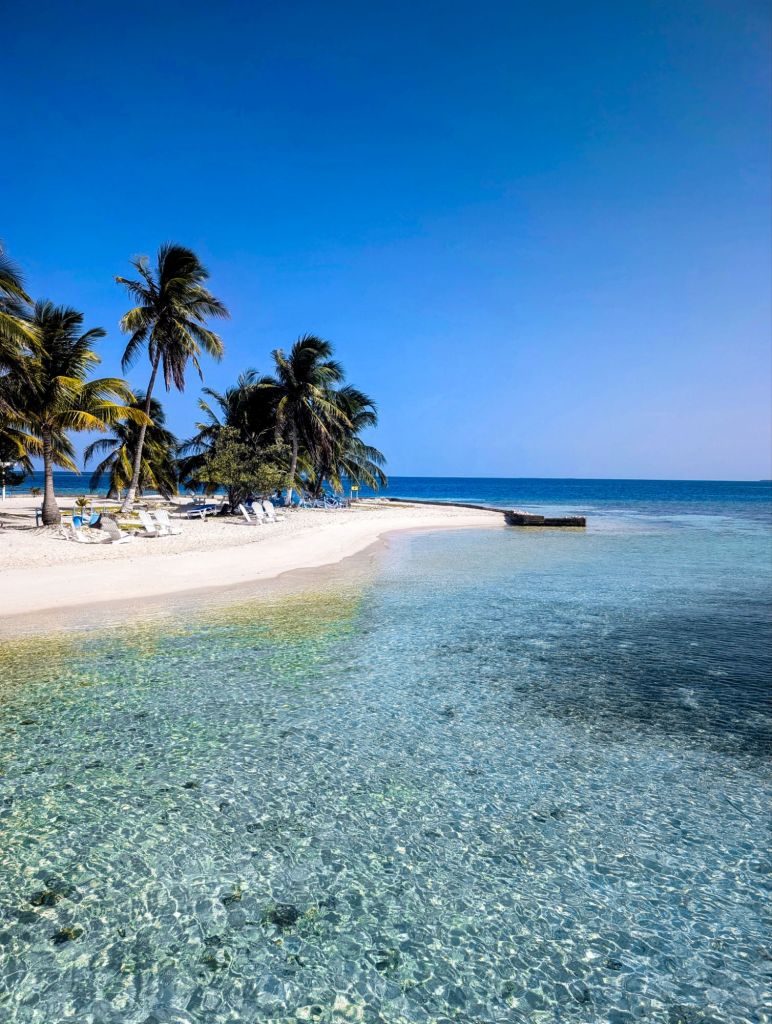 ragga sailing adventures belize