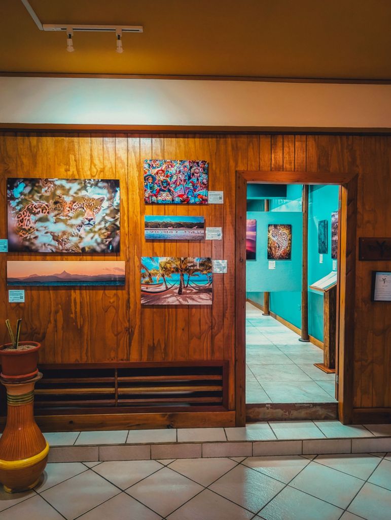 pelican beach resort dangriga belize