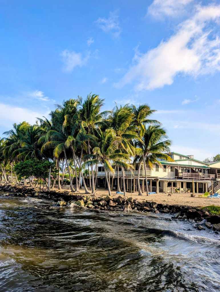 pelican beach resort dangriga belize