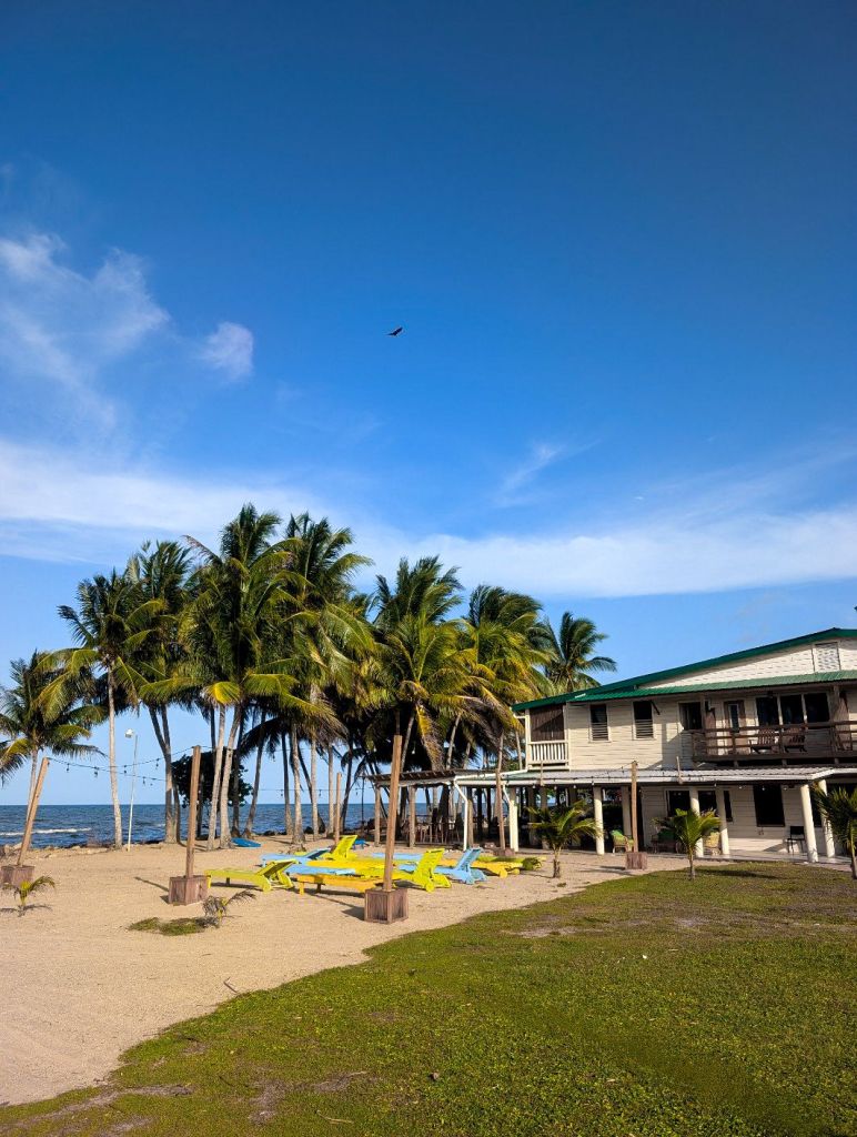 pelican beach resort dangriga belize