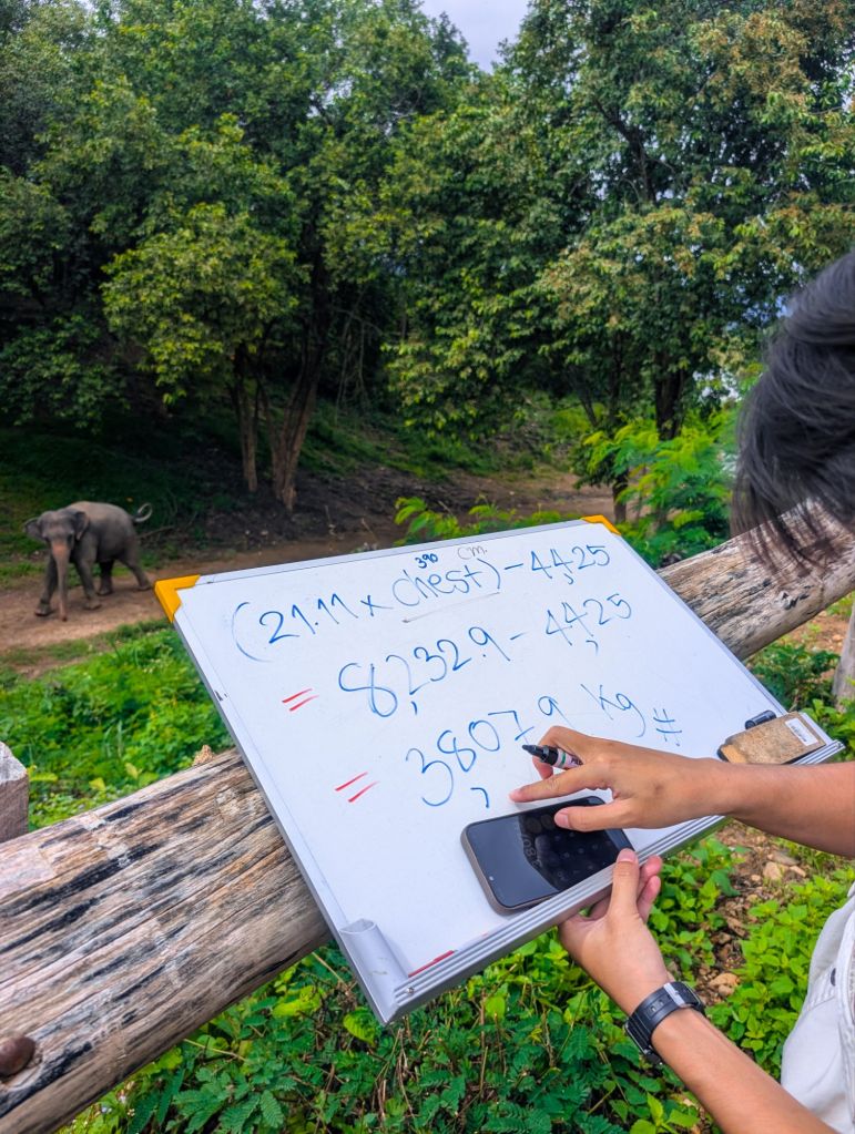 bush camp chiang mai thailand