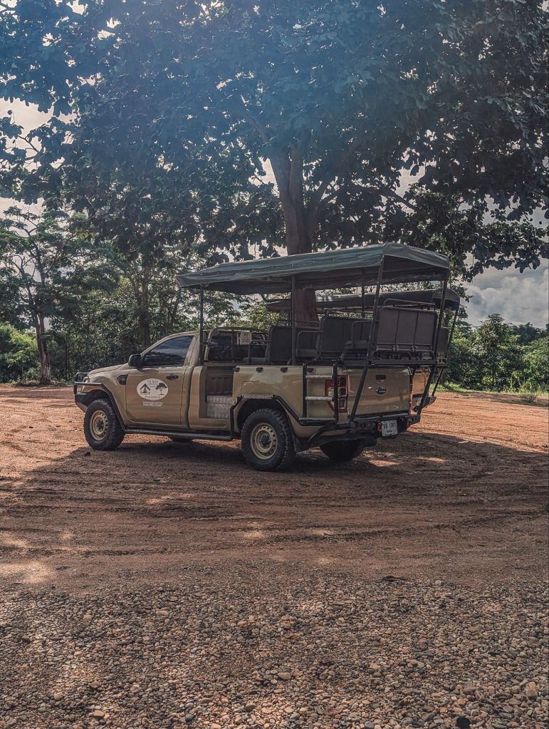 bush camp chiang mai thailand
