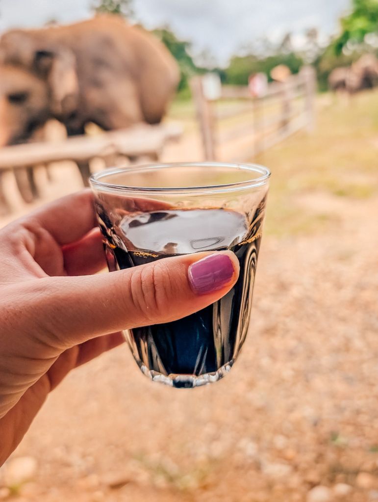 bush camp chiang mai thailand