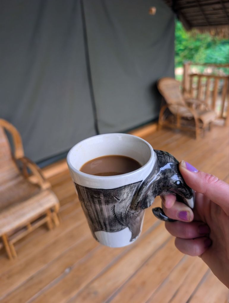 bush camp chiang mai thailand