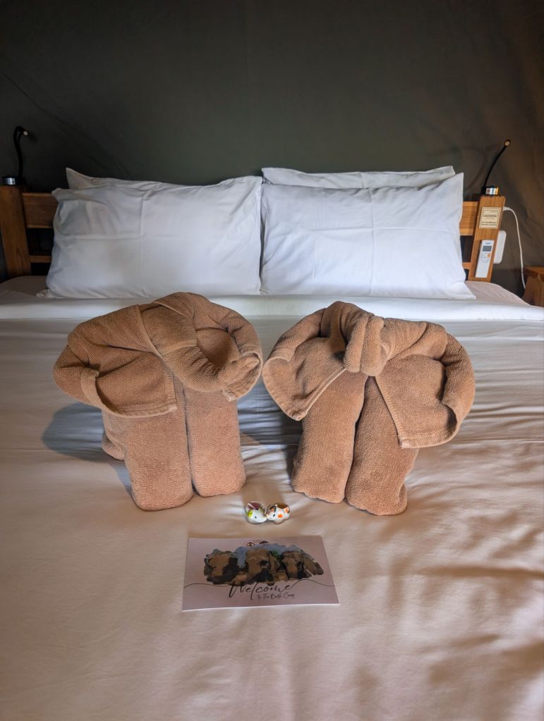 bush camp chiang mai thailand