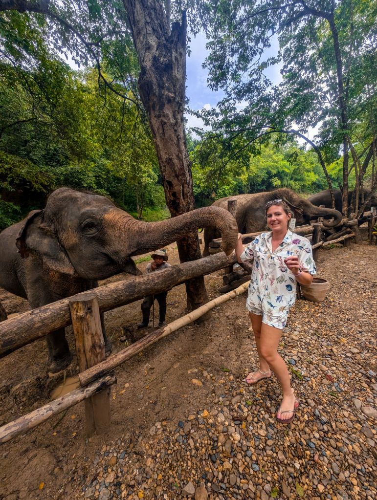 bush camp chiang mai thailand