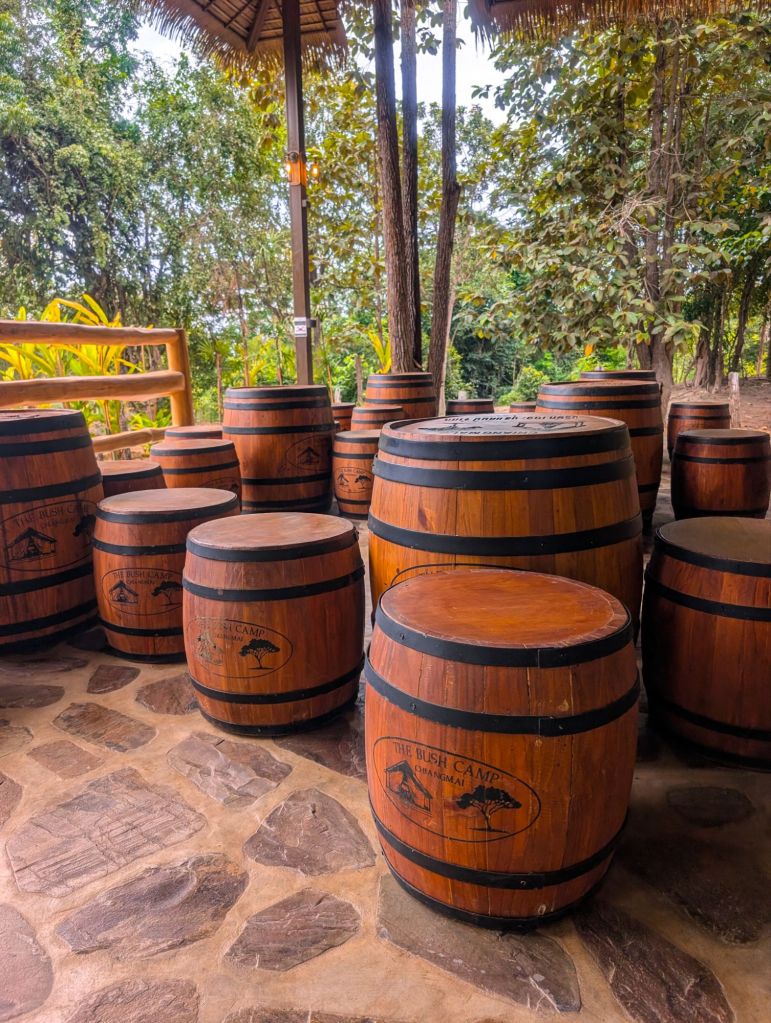 bush camp chiang mai thailand