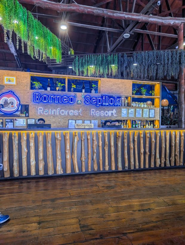 borneo sepilok rainforest resort 