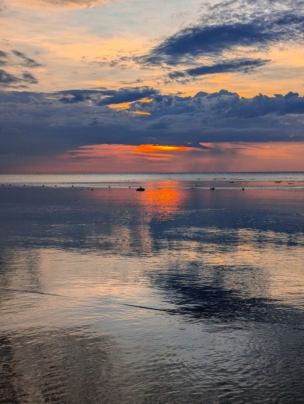 turtle island selingan borneo