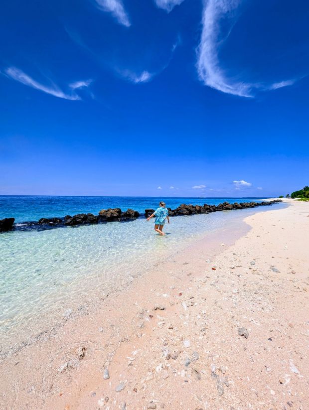 turtle island selingan borneo