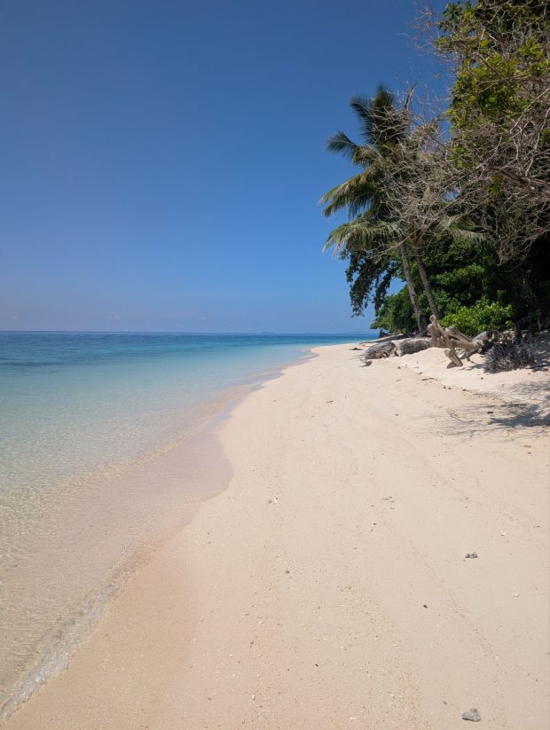 turtle island selingan borneo