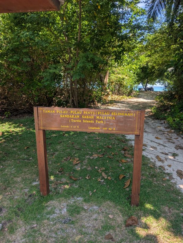 turtle island selingan borneo