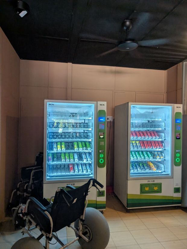 turtle island selingan borneo