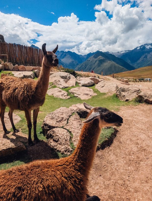 mountain view experience peru