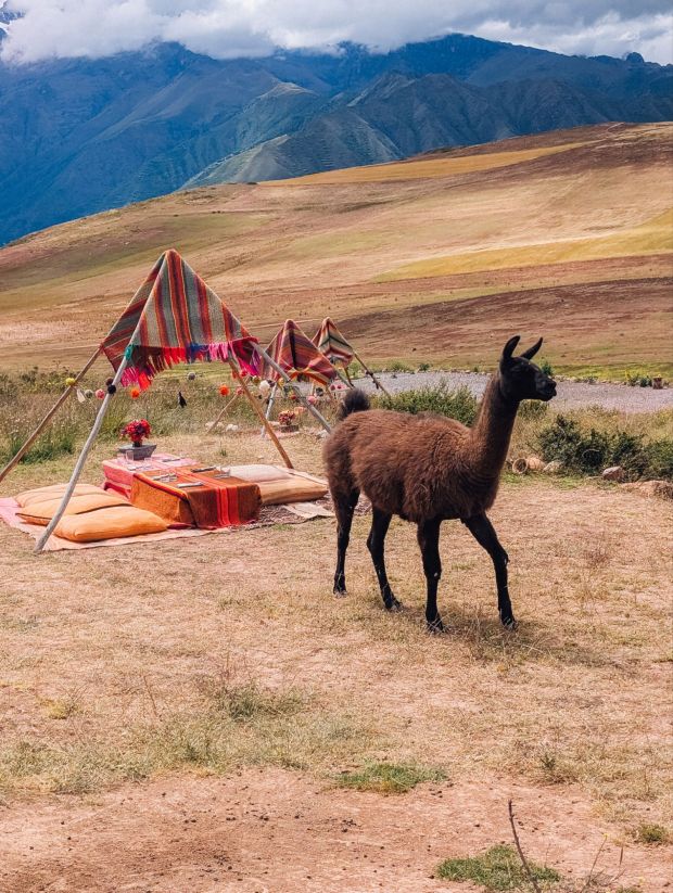 mountain view experience peru