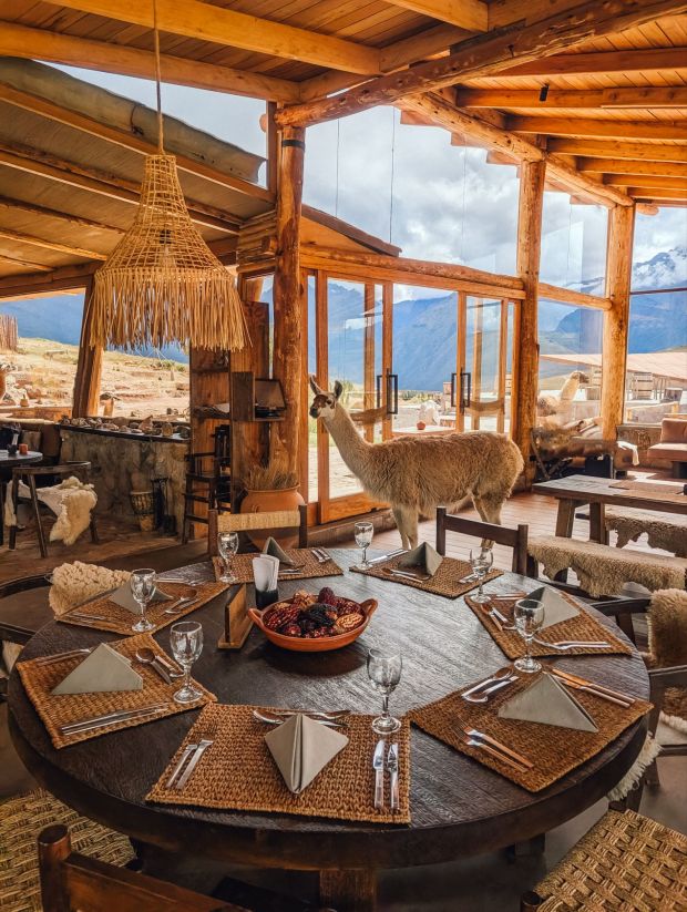 mountain view experience peru