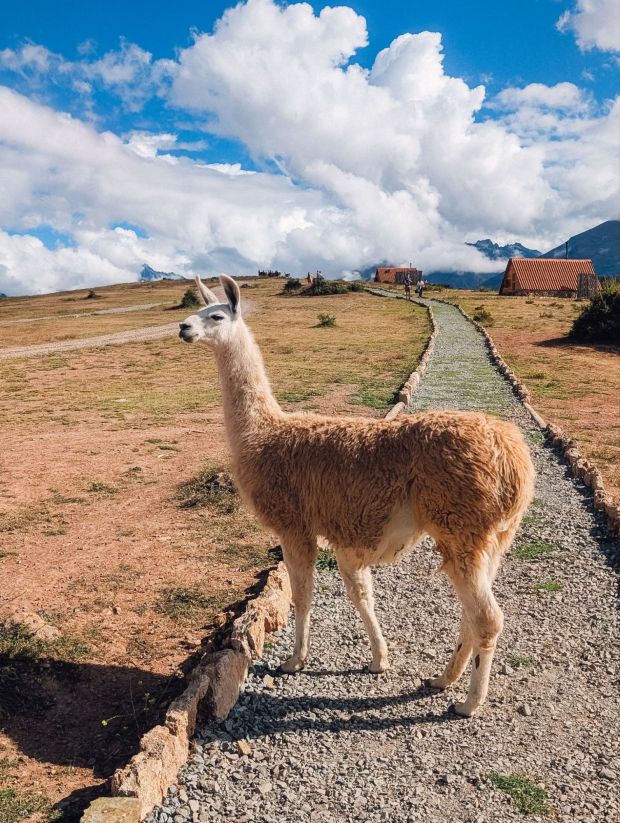 mountain view experience peru