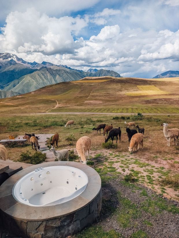 mountain view experience peru