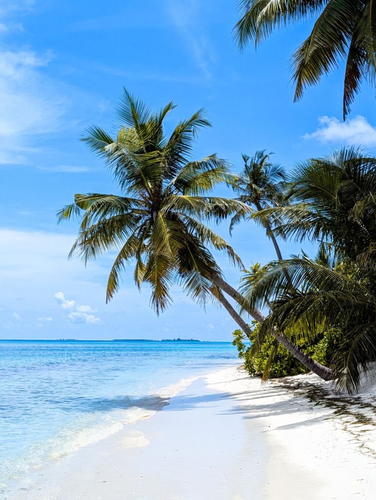 bliss dhigurah maldives