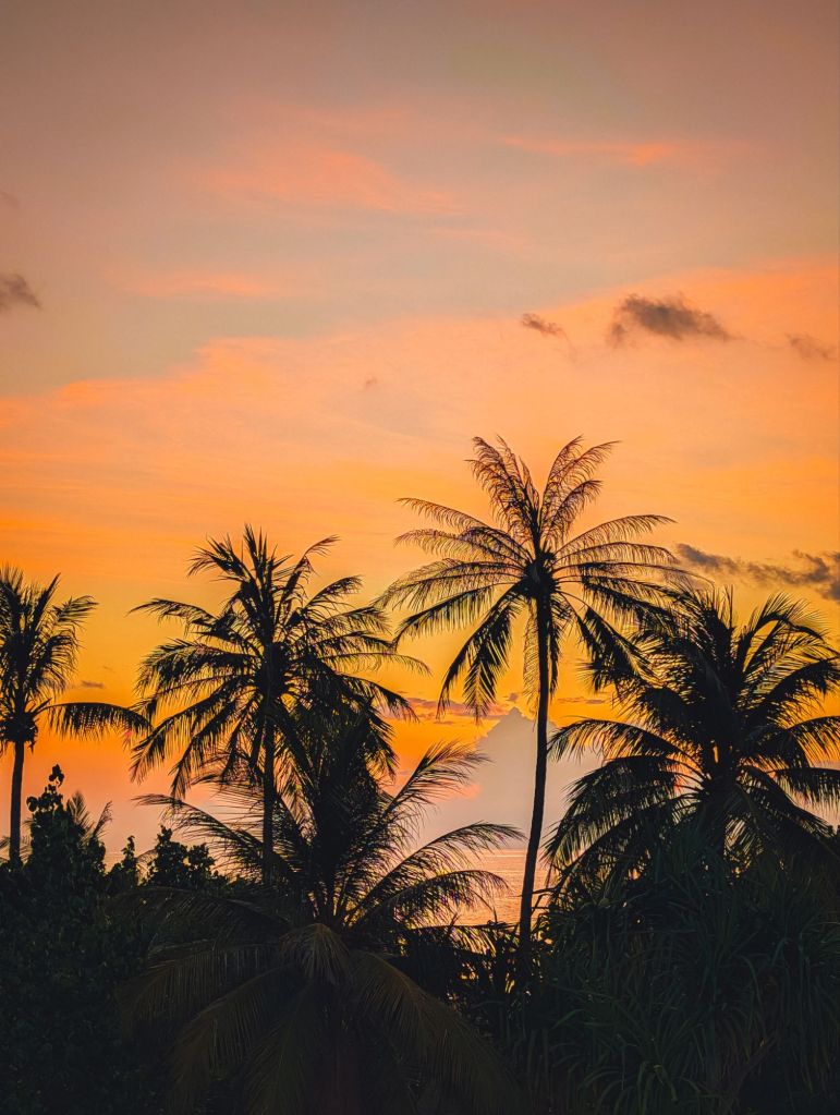 dhiffushi inn beach club maldives