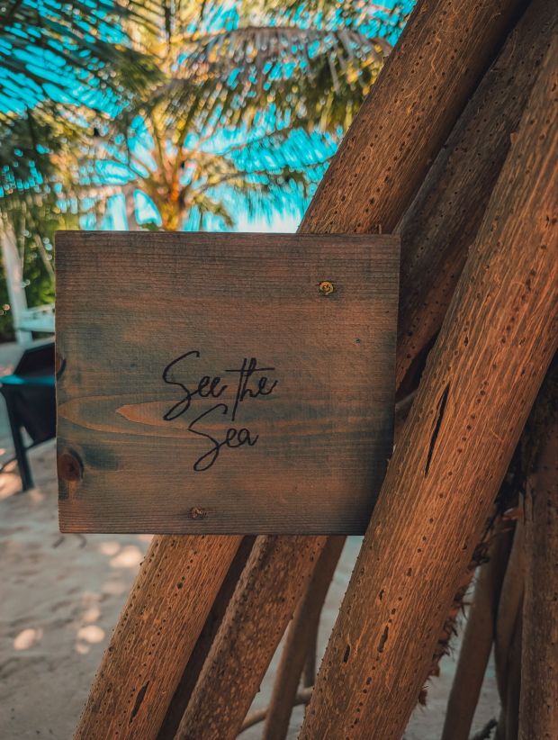 dhiffushi inn beach club maldives