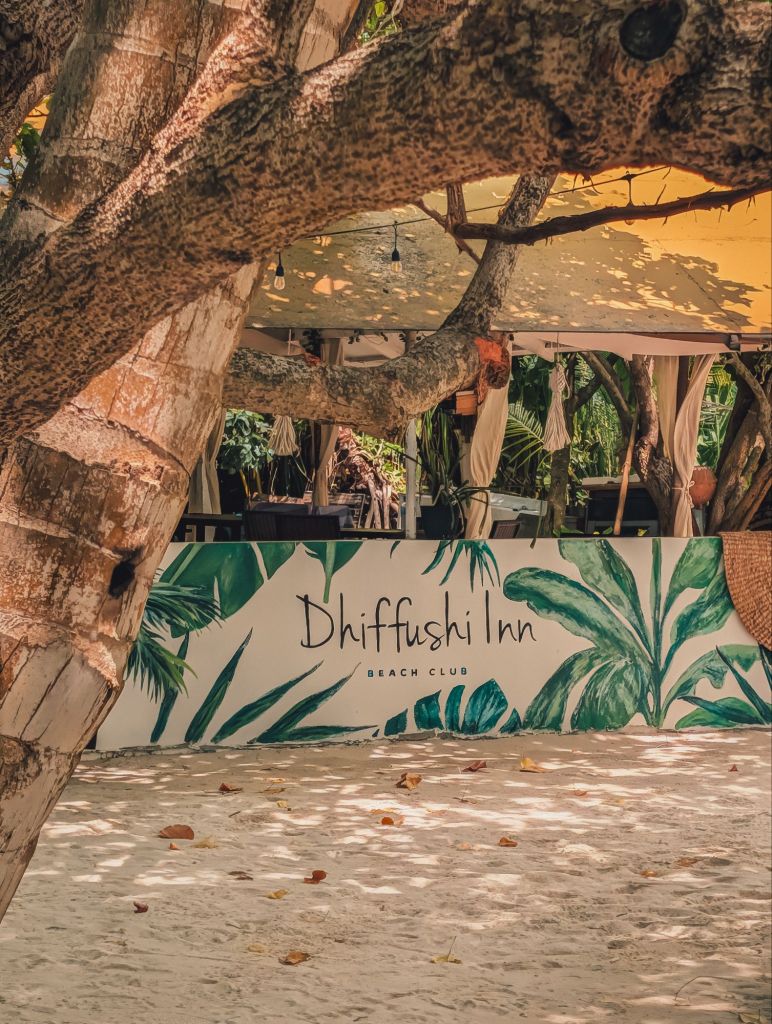 dhiffushi inn beach club maldives
