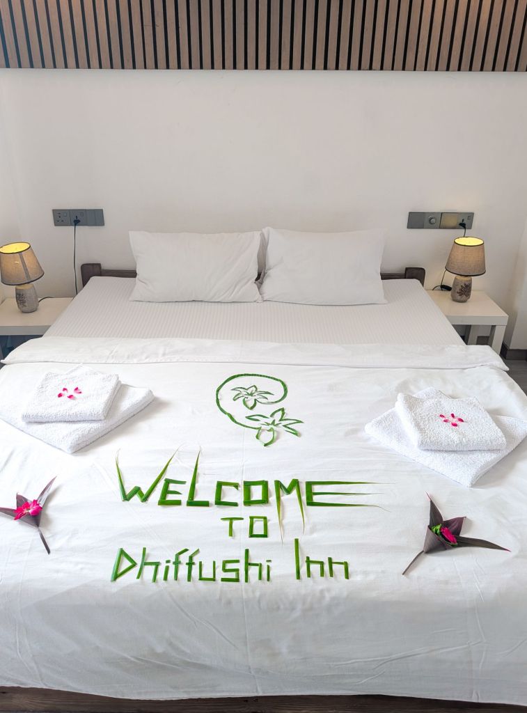 dhiffushi inn beach club maldives
