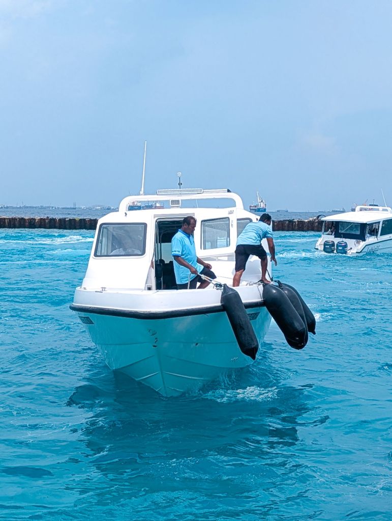 dhiffushi inn beach club maldives